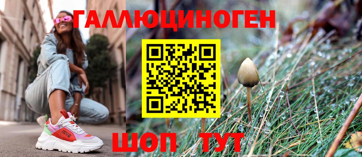 Гусев  Галлюциногенные грибы GOLDEN TEACHER  Псилоцибиновые грибы MAGIC MUSHROOMS  Вход с VPN 